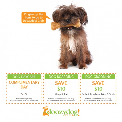 Doozydog Club coupons: Complimentary day, $10 off boarding, $10 off grooming