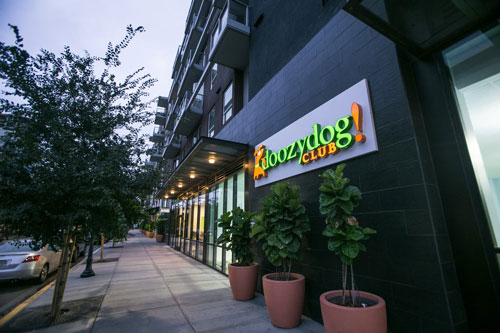 Doozydog Club! San Diego East Village Location